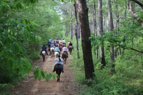 Spring 2023 Retreat #7 (Gaited Retreat) 6/13/2023 - 6/17/2023